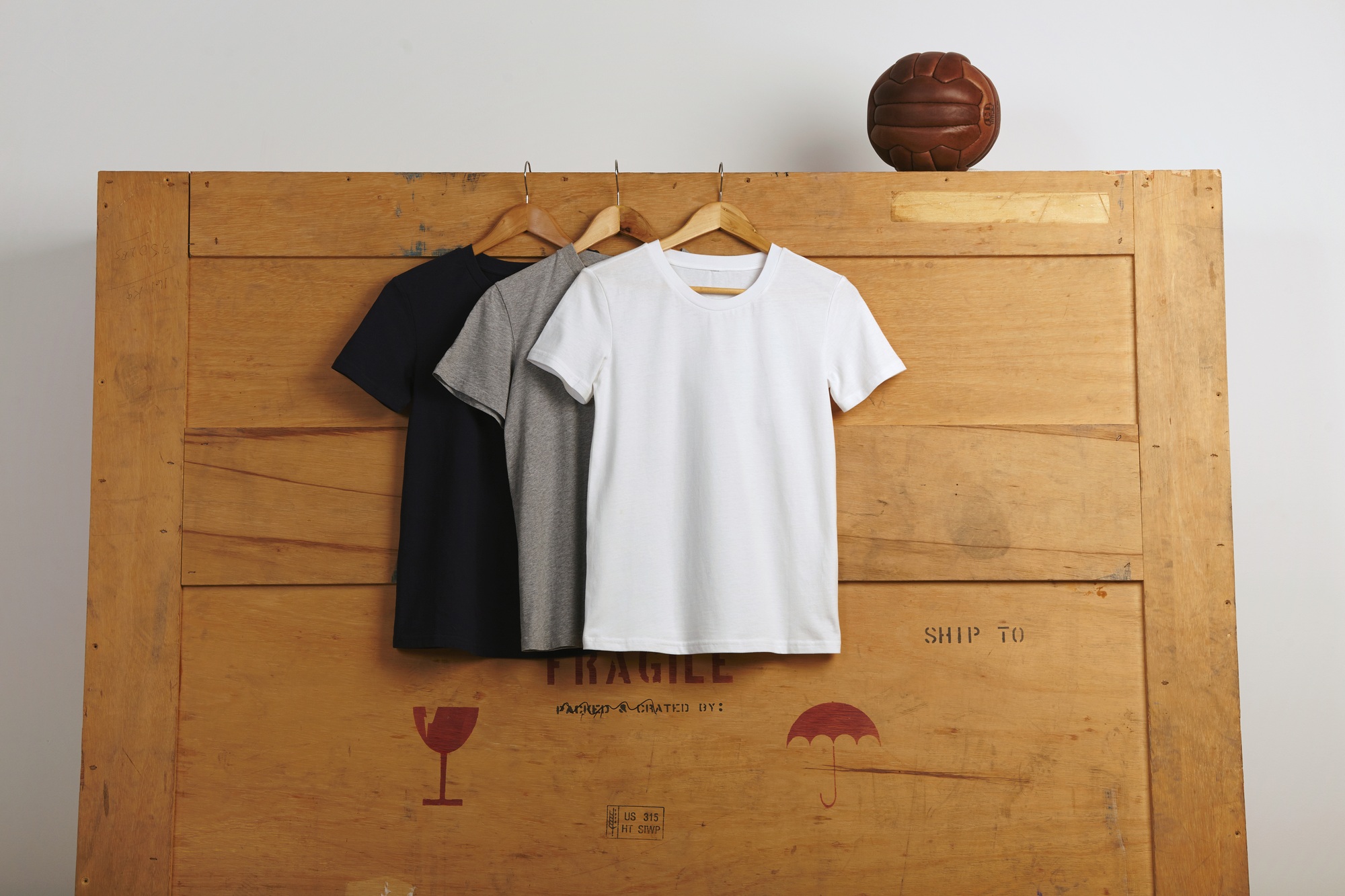 Blank t-shirts presentation